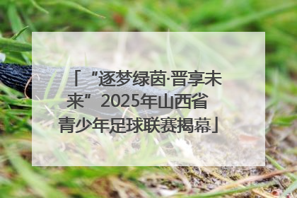 “逐梦绿茵·晋享未来”2025年山西省青少年足球联赛揭幕
