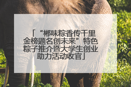 “郴味粽香传千里 金榜题名创未来”特色粽子推介暨大学生创业助力活动收官