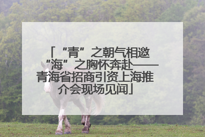 “青”之朝气相邀 “海”之胸怀奔赴——青海省招商引资上海推介会现场见闻