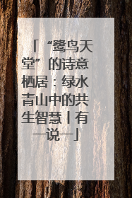 “鹭鸟天堂”的诗意栖居：绿水青山中的共生智慧丨有一说一