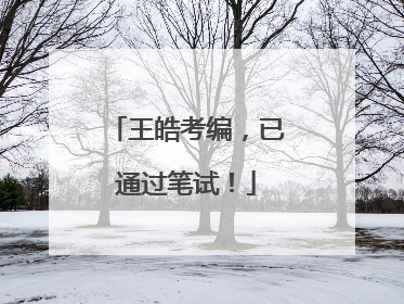 王皓考编，已通过笔试！