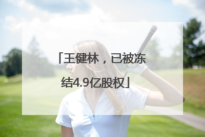 王健林，已被冻结4.9亿股权
