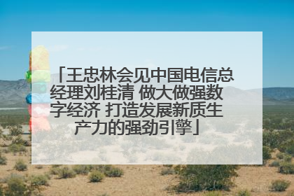 王忠林会见中国电信总经理刘桂清 做大做强数字经济 打造发展新质生产力的强劲引擎