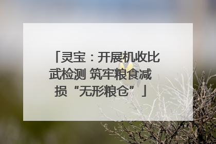 灵宝：开展机收比武检测 筑牢粮食减损“无形粮仓”