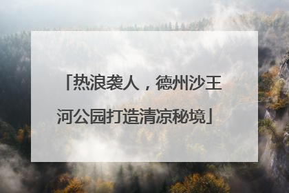 热浪袭人，德州沙王河公园打造清凉秘境