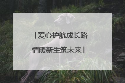 爱心护航成长路 情暖新生筑未来