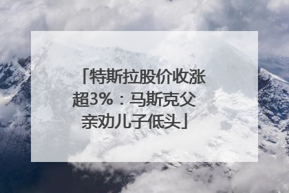 特斯拉股价收涨超3%：马斯克父亲劝儿子低头