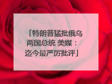 特朗普猛批俄乌两国总统 美媒：迄今最严厉批评