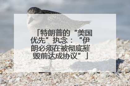 特朗普的“美国优先”执念：“伊朗必须在被彻底摧毁前达成协议”