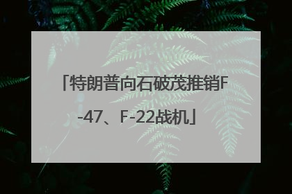 特朗普向石破茂推销F-47、F-22战机