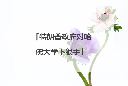 特朗普政府对哈佛大学下狠手