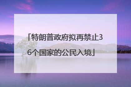特朗普政府拟再禁止36个国家的公民入境
