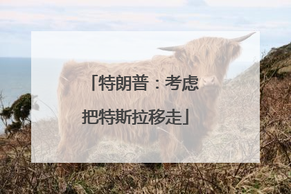 特朗普：考虑把特斯拉移走