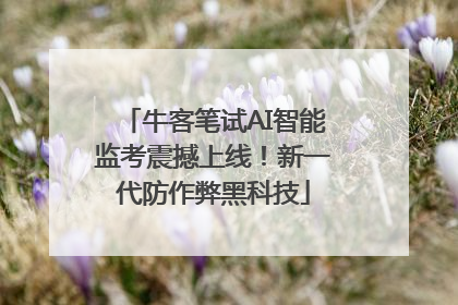 牛客笔试AI智能监考震撼上线！新一代防作弊黑科技