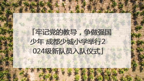牢记党的教导，争做强国少年 成都少城小学举行2024级新队员入队仪式