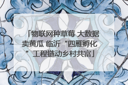 物联网种草莓 大数据卖黄瓜 临沂“四雁孵化”工程链动乡村共富