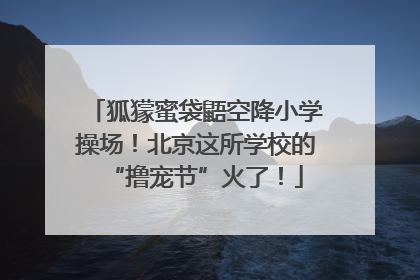 狐獴蜜袋鼯空降小学操场！北京这所学校的“撸宠节”火了！