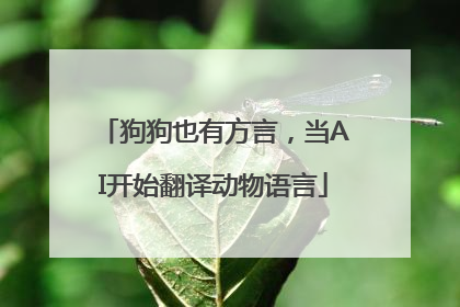 狗狗也有方言，当AI开始翻译动物语言