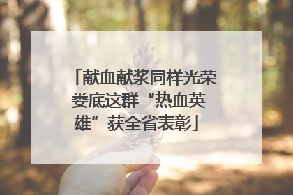 献血献浆同样光荣 娄底这群“热血英雄”获全省表彰