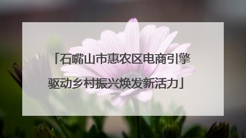 石嘴山市惠农区电商引擎驱动乡村振兴焕发新活力