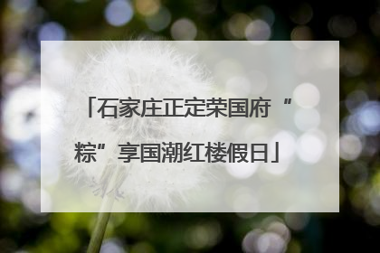 石家庄正定荣国府“粽”享国潮红楼假日
