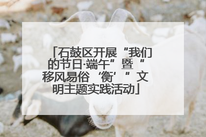 石鼓区开展“我们的节日·端午”暨“移风易俗‘衡’”文明主题实践活动