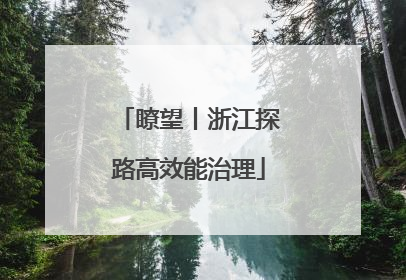 瞭望丨浙江探路高效能治理