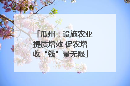 瓜州：设施农业提质增效 促农增收“钱”景无限