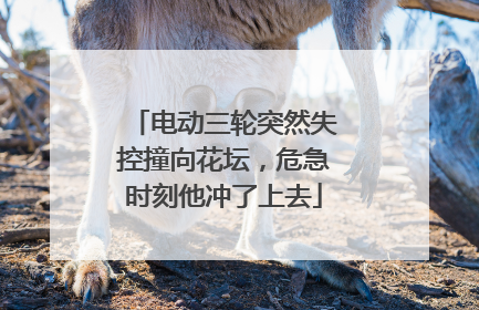 电动三轮突然失控撞向花坛，危急时刻他冲了上去