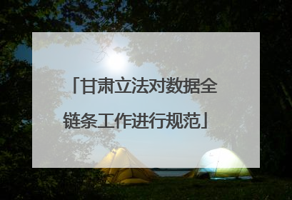 甘肃立法对数据全链条工作进行规范