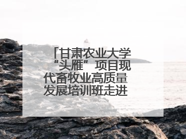 甘肃农业大学“头雁”项目现代畜牧业高质量发展培训班走进榆林榆阳区