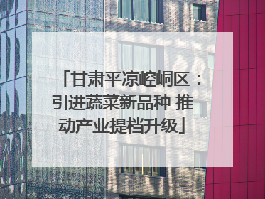 甘肃平凉崆峒区：引进蔬菜新品种 推动产业提档升级