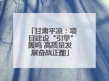 甘肃平凉：项目建设“引擎”轰鸣 高质量发展奋战正酣