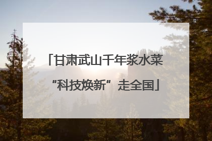 甘肃武山千年浆水菜“科技焕新”走全国
