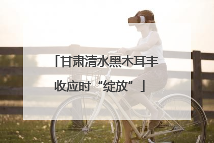 甘肃清水黑木耳丰收应时“绽放”