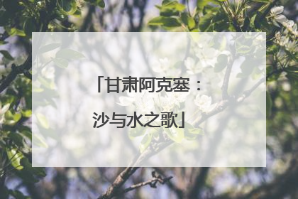 甘肃阿克塞：沙与水之歌