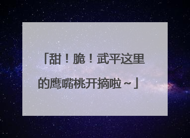 甜！脆！武平这里的鹰嘴桃开摘啦～