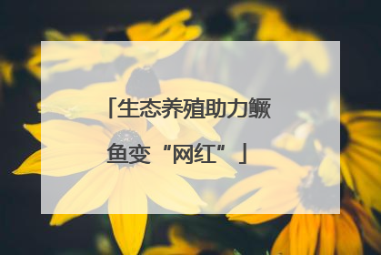 生态养殖助力鳜鱼变“网红”