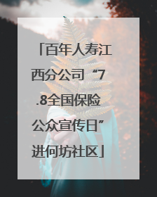 百年人寿江西分公司“7.8全国保险公众宣传日”进何坊社区