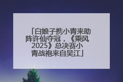 白娘子携小青来助阵许仙夺冠，《乘风2025》总决赛小青战袍来自吴江