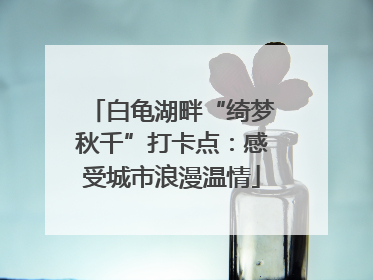 白龟湖畔“绮梦秋千”打卡点：感受城市浪漫温情