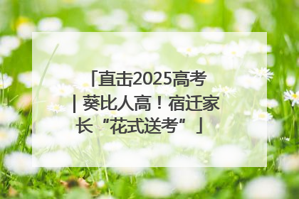 直击2025高考｜葵比人高！宿迁家长“花式送考”