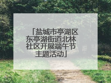 盐城市亭湖区东亭湖街道北林社区开展端午节主题活动