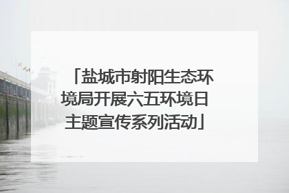 盐城市射阳生态环境局开展六五环境日主题宣传系列活动