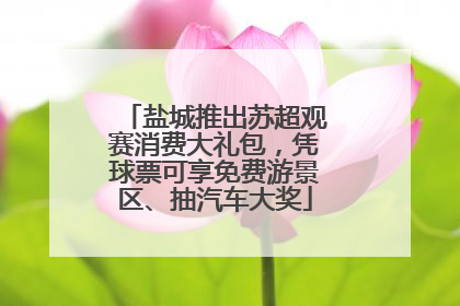 盐城推出苏超观赛消费大礼包，凭球票可享免费游景区、抽汽车大奖