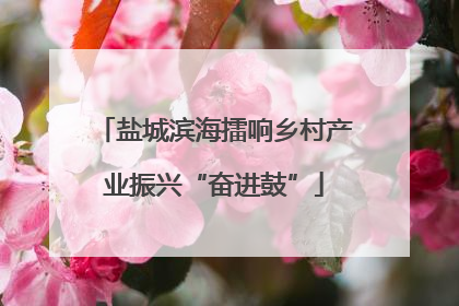 盐城滨海擂响乡村产业振兴“奋进鼓”