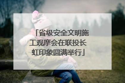 省级安全文明施工观摩会在联投长虹印象圆满举行