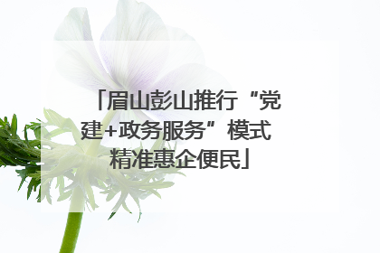 眉山彭山推行“党建+政务服务”模式 精准惠企便民