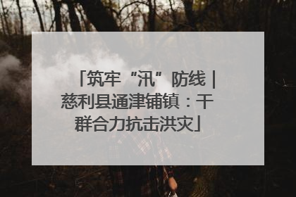 筑牢“汛”防线｜慈利县通津铺镇：干群合力抗击洪灾