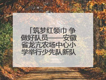 筑梦红领巾 争做好队员——安徽省龙亢农场中心小学举行少先队新队员入队仪式